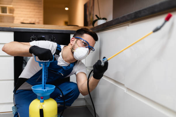 Best Pest Control Near Me  in Quinnesec, MI