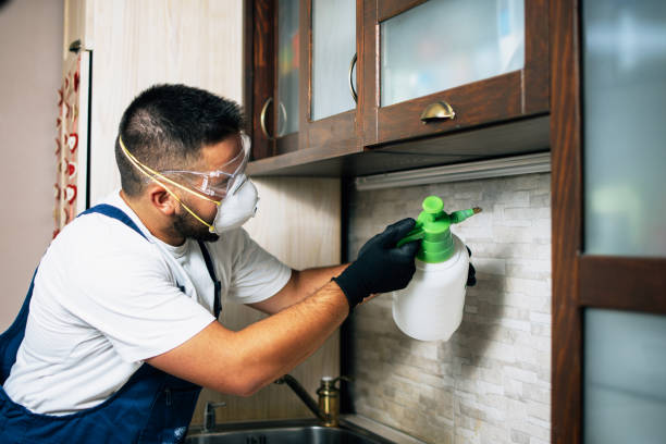 Best Cockroach Control Services  in Quinnesec, MI