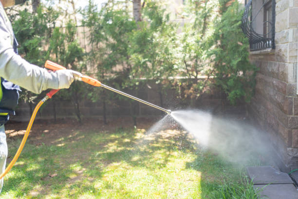 Best Bed Bug Extermination  in Quinnesec, MI