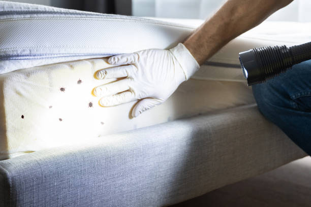Best Best Pest Control Companies  in Quinnesec, MI