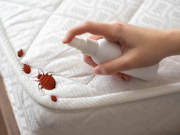 Best Best Pest Control Companies  in Quinnesec, MI