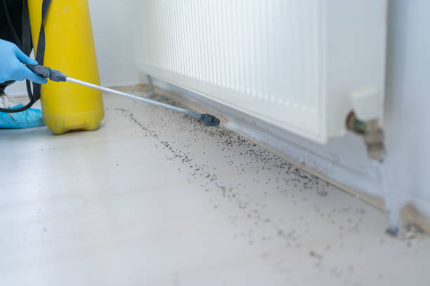 Best Pest Prevention Services  in Quinnesec, MI
