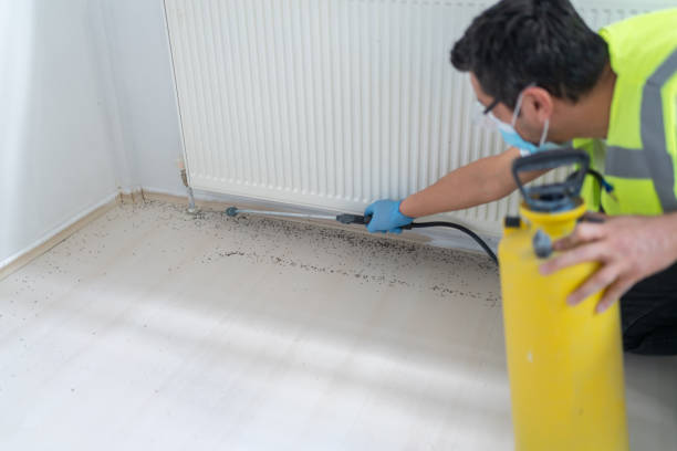 Best Cockroach Control Services  in Quinnesec, MI